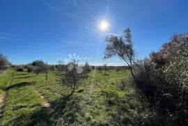 Građevinsko zemljište turističke namjene, Tar-Vabriga, Земля