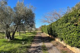 Građevinsko zemljište turističke namjene, Tar-Vabriga, Land