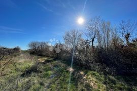 Građevinsko zemljište turističke namjene, Tar-Vabriga, Land