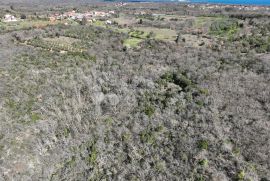 Šuma za sječu drva, Marčana, Zemljište