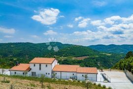 LUKSUZNA VILLA NA OSAMI, Cerovlje, Famiglia