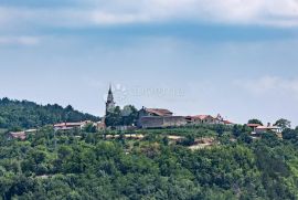 LUKSUZNA VILLA NA OSAMI, Cerovlje, Famiglia