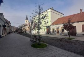 KUĆA SA UMJETNIČKOM GALERIJOM U PJEŠAČKOJ ZONI ČAKOVCA, Čakovec, Haus