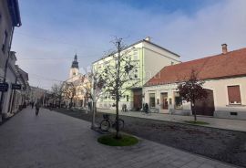 KUĆA SA UMJETNIČKOM GALERIJOM U PJEŠAČKOJ ZONI ČAKOVCA, Čakovec, Famiglia