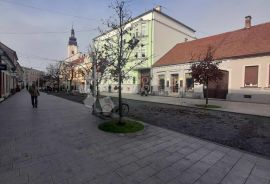 KUĆA SA UMJETNIČKOM GALERIJOM U PJEŠAČKOJ ZONI ČAKOVCA, Čakovec, Famiglia