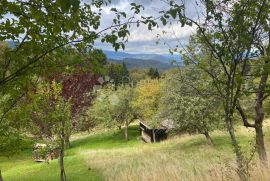 Poljoprivredno zemljište Skrad, Skrad, Terreno