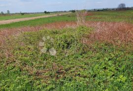 ZEMLJIŠTE U HRAŠĆICI, Varaždin - Okolica, Land