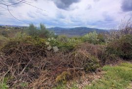 Starina u Sovišćini sa puno potenciala, Buzet, Kuća