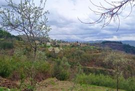 Starina u Sovišćini sa puno potenciala, Buzet, House