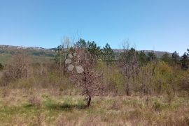 PREKRASNO GRAĐEVINSKO ZEMLJIŠTE S POGLEDOM NA ĆIĆARIJU, Buzet, Land