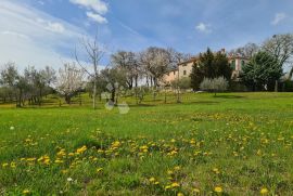 RUSTIKALNA VILA NA PREDIVNOM IMANJU, Vižinada, Famiglia