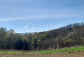 GRAĐEVINSKO ZEMLJIŠTE OKRUŽENO ŠUMOM I ZELENILOM, Sveti Ilija, Terrain