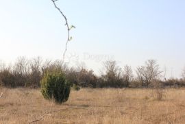 Poljoprivredno zemljište na atraktivnoj lokaciji, Vodnjan, Terreno