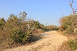 Poljoprivredno zemljište na atraktivnoj lokaciji, Vodnjan, Terreno