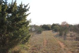 Poljoprivredno zemljište na atraktivnoj lokaciji, Vodnjan, Terreno