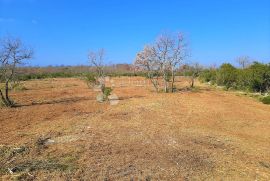 BALE- ZEMLJIŠTE NA ODLIČNOJ LOKACIJI, Bale, Land