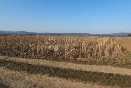 Poljoprivredno zemljište na Sabljacima, Ogulin, Terreno