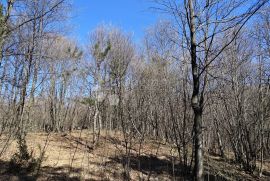 Strm teren u zelenom pojasu, Viškovo, Land