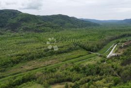 IZNIMAN PROJEKT U PREDIVNOJ PRIRODI S GRAĐEVINSKOM DOZVOLOM ZA KUĆU S BAZENOM, Motovun, Tierra