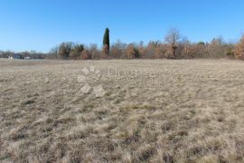 Prostrano zemljište u okolici Barbana, Barban, Земля