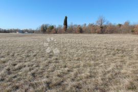 Prostrano zemljište u okolici Barbana, Barban, Земля