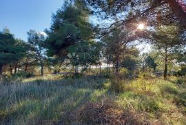 VODICE ZEMLJIŠTE TURISTIČKE NAMJENE - ZABAVNI CENTAR, Vodice, Arazi