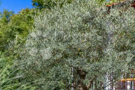 Oaza mira iznad Opatije sa bazenom i teniskim terenom, Opatija - Okolica, Kuća