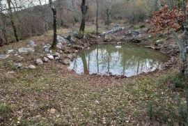 Labin, okolica 111000 m² zemljišta i kamena kuća, Raša, أرض