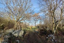 Labin, okolica 111000 m² zemljišta i kamena kuća, Raša, أرض