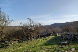 Labin, okolica 111000 m² zemljišta i kamena kuća, Raša, أرض