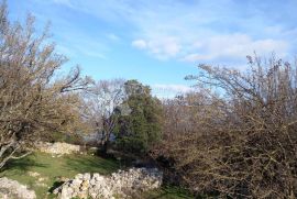 Labin, okolica 111000 m² zemljišta i kamena kuća, Raša, أرض