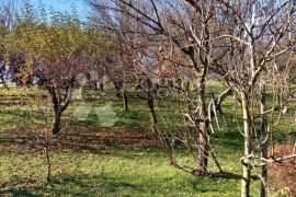 Prekrasna kuća kompletno namještena Cvetlin, Bednja, Ev