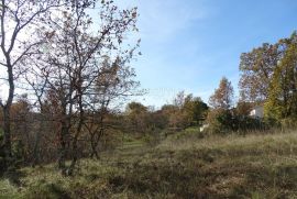 Istra, Završje - lijep, velik teren uz cestu, Grožnjan, أرض