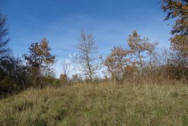 Istra, Završje - lijep, velik teren uz cestu, Grožnjan, أرض