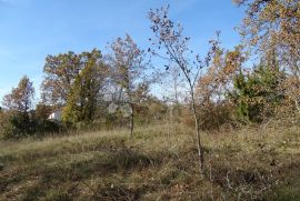 Istra, Završje - lijep, velik teren uz cestu, Grožnjan, أرض