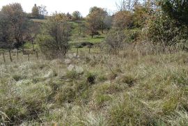 Istra, Završje - lijep, velik teren uz cestu, Grožnjan, أرض