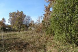 Istra, Završje - lijep, velik teren uz cestu, Grožnjan, أرض