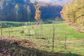 LJUBEŠČICA - građevinske parcele raznih kvadratura, Ljubešćica, Terrain