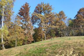 LJUBEŠČICA - građevinske parcele raznih kvadratura, Ljubešćica, Terrain