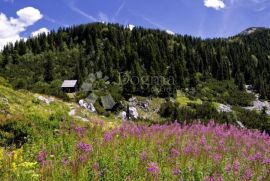 Imanje u srcu Velebita, Gospić, Maison