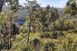 Građevinsko zemljište s pogledom na more i zelenilo, Labin, Land