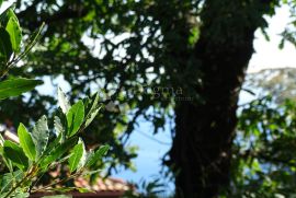 Mihotići - odličan teren s pogledom za dvije ville, Matulji, Terrain