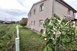 PROSTRANA KUĆA SA 3 APARTMANA, Vodnjan, House