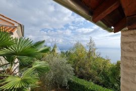 Opatijska rivijera vila sa bazenom, Opatija - Okolica, Дом