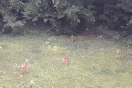 MATULJI SAMOSTOJEĆA KUĆA SA VELIKOM OKUĆNICOM, Matulji, Kuća