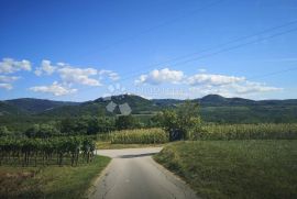 LIVADE , okolica, dvije kamene kuće sa pogledom na Motovun, Oprtalj, Дом