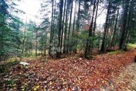 Zemljište i šuma, Ravna Gora, Arazi