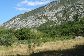 Drivenik - odličan, ravan teren za stambenu gradnju, Vinodolska Općina, Terra