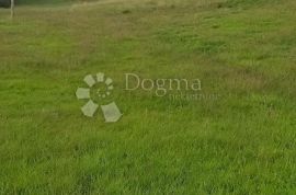 Istra,  građevinskog zemljišta 10800 m2,  s pogledom na more, Barban, Ev