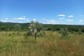 Pravokutna parcela sa lijepim pogledom na izvanrednoj lokaciji, Brtonigla, Zemljište